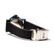 Ceas barbatesc Worwit Lion Blue No Chrono